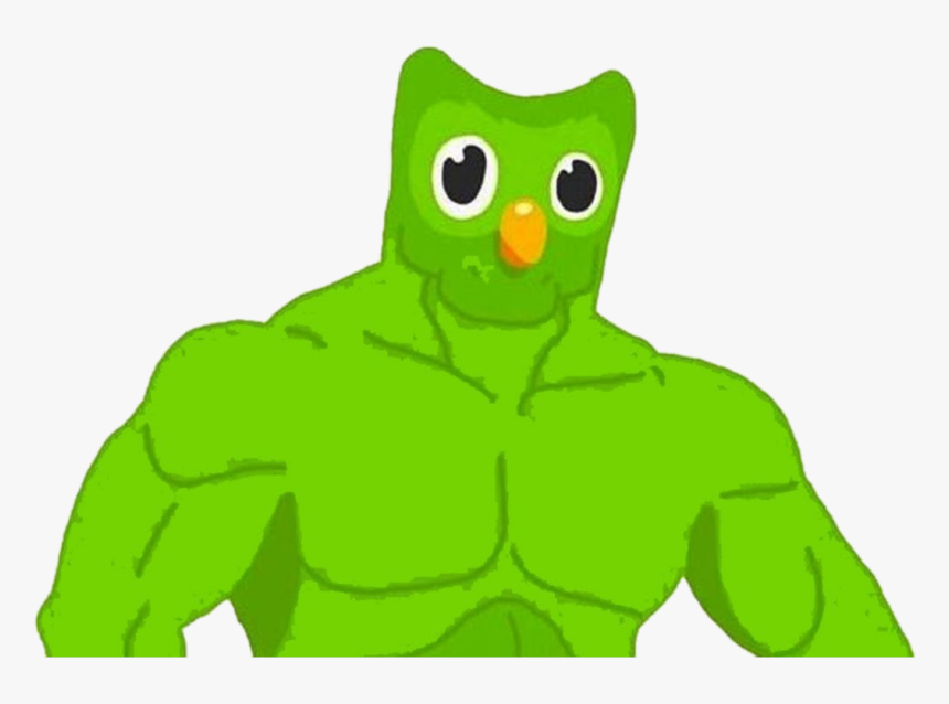 Ricardo Duolingo, HD Png Download, Free Download