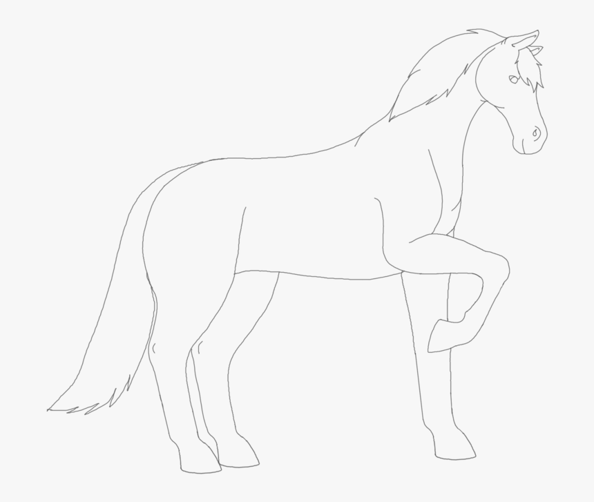 Wikihow Drawing Horse - Line Art, HD Png Download, Free Download