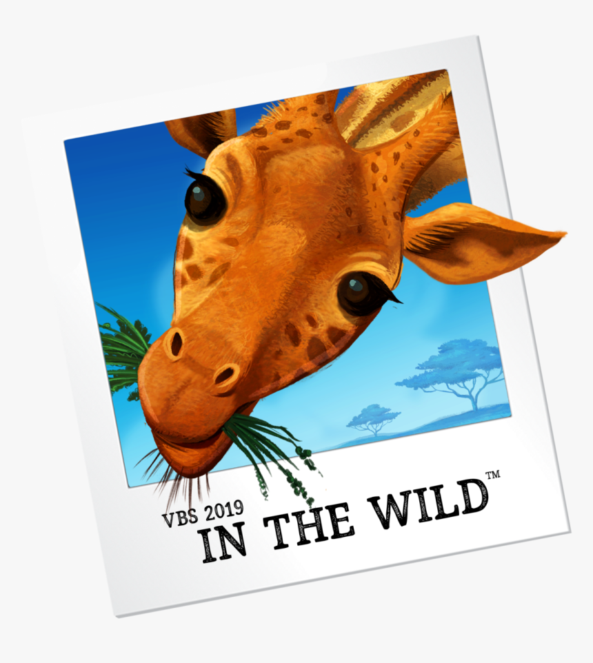 Vbs In The Wild, HD Png Download, Free Download