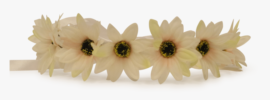 White Flower Crown Png - Flower Crown Transparent Brown, Png Download, Free Download