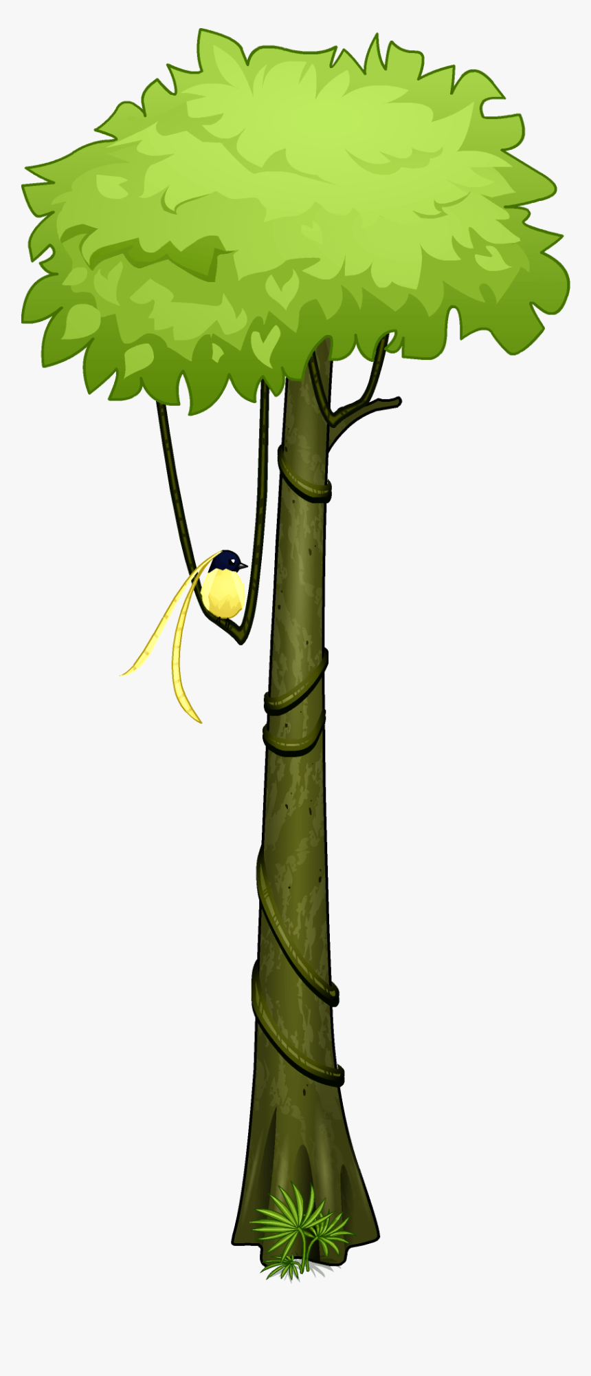 amazon rainforest trees clipart