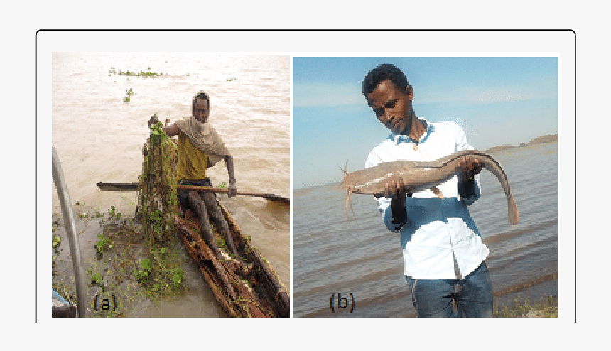 Fisherman, HD Png Download, Free Download