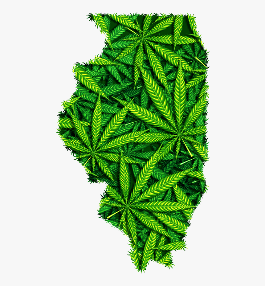 Map Of Illinois Marijuana Leaves - Vestido De Noiva De Maconha, HD Png Download, Free Download