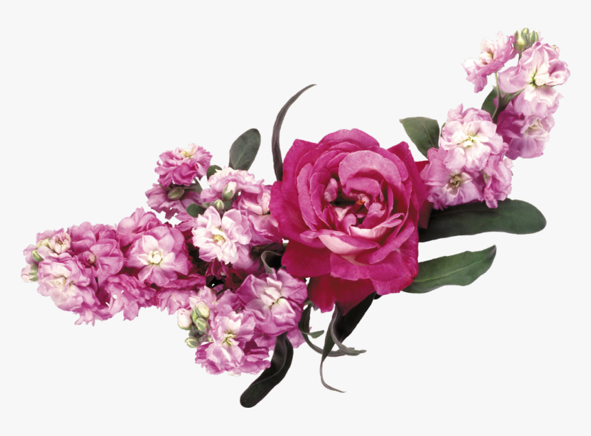 Transparent Flowercrown Png - Flower Bed Png Digital, Png Download, Free Download