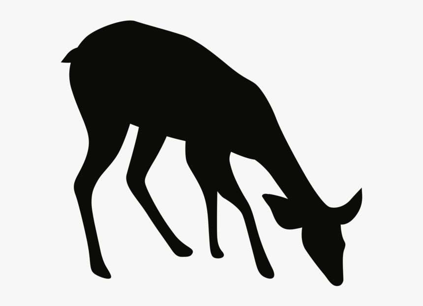 Noun Deer 671375 - Fawn Deer Silhouette Png, Transparent Png, Free Download