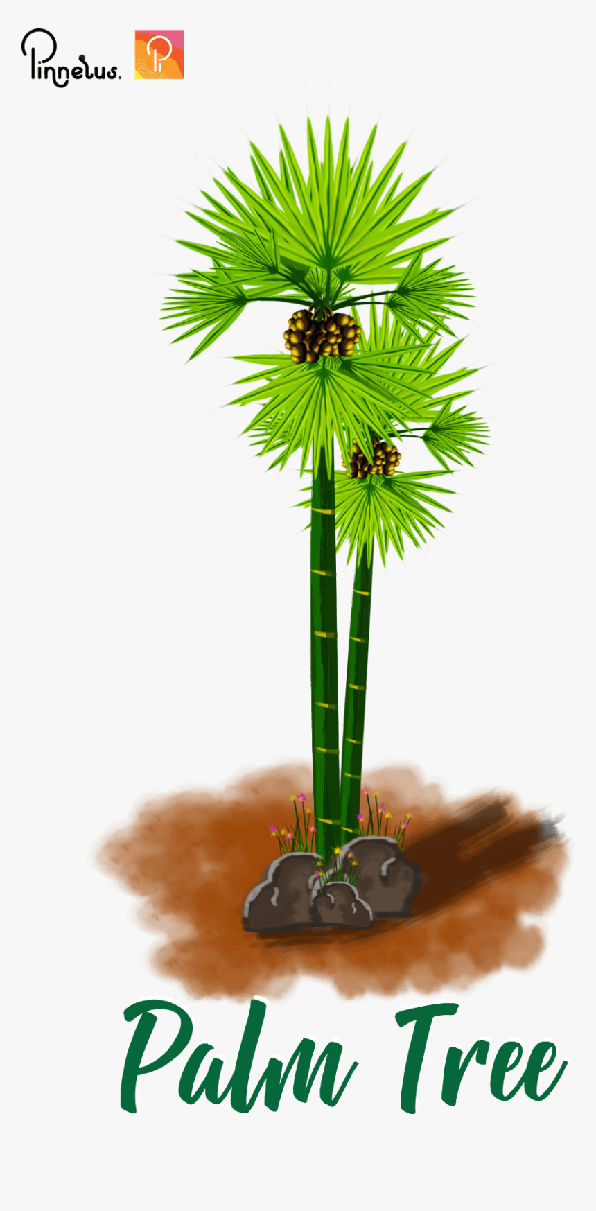 Khmer Palm Tree Khmer Palm Tree - Palm Tree Khmer Sign, HD Png Download ...