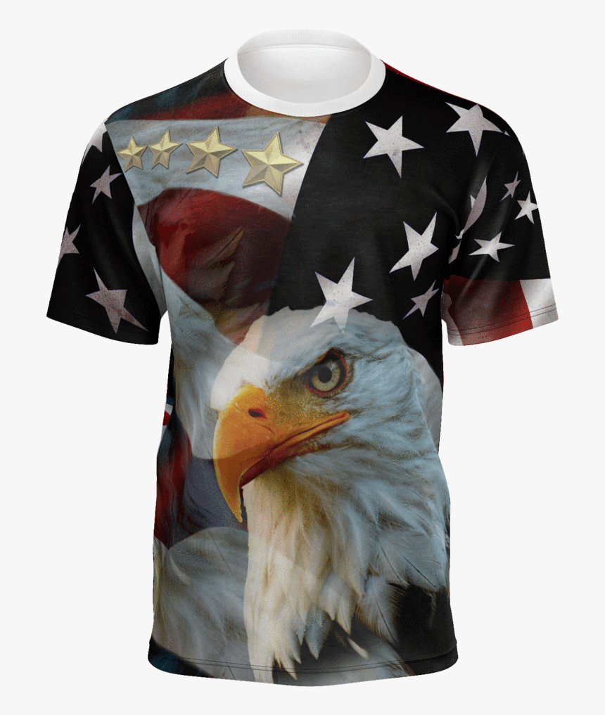 Transparent American Eagle Png - Bald Eagle, Png Download, Free Download