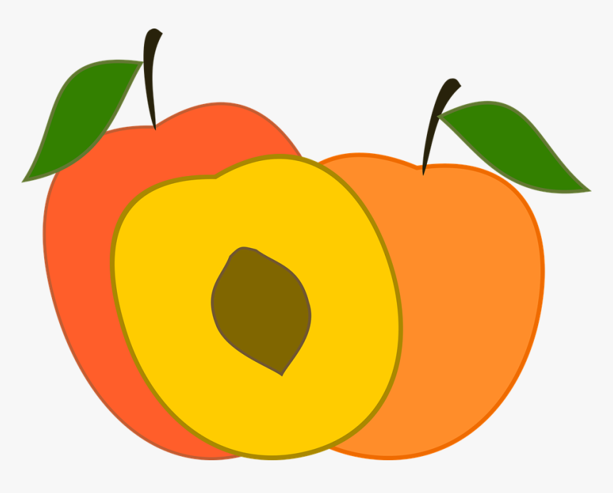 Peach, Peaches, Fruit, Sweet, Fruit Season, Healthy - Peach Transparent Vector, HD Png Download, Free Download