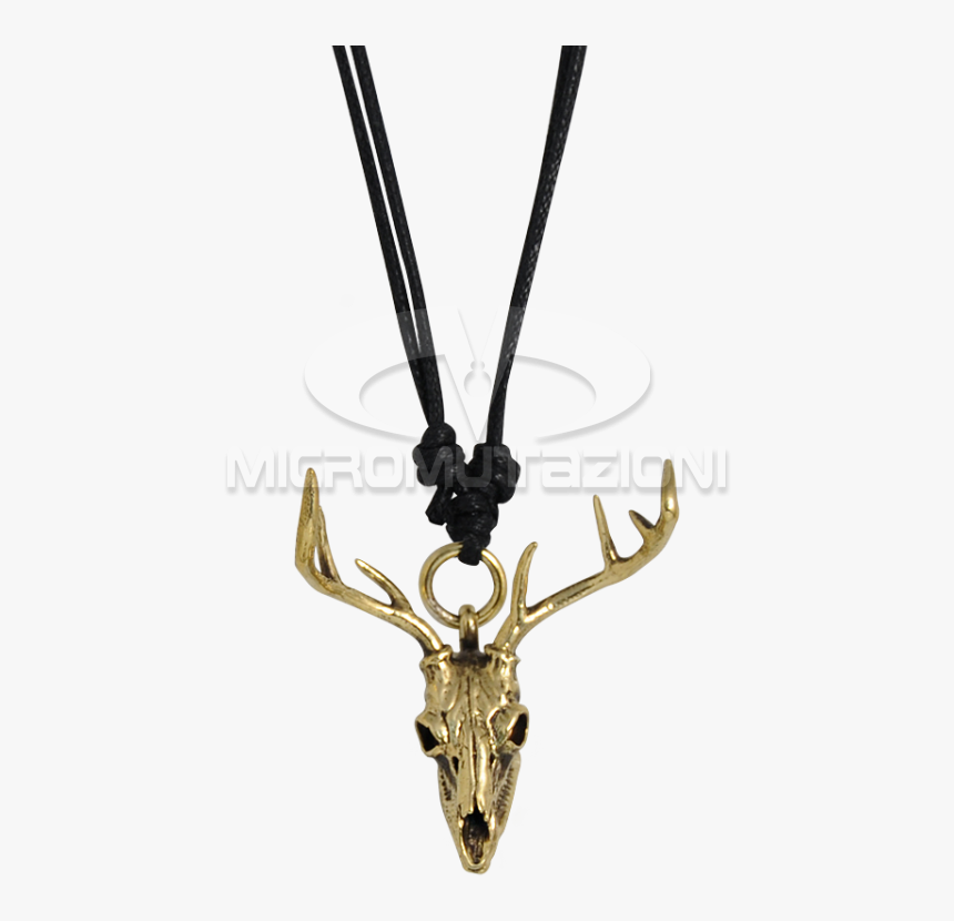 Reindeer, HD Png Download, Free Download