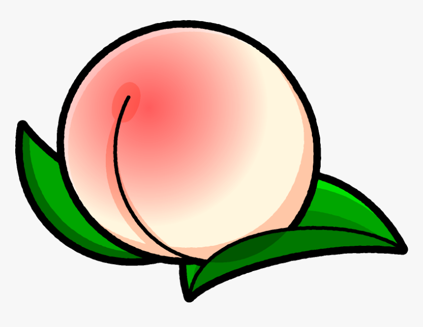 Peach Clip Art Prunus Peaches Illustrations Pictures 白桃 イラスト フリー Hd Png Download Kindpng