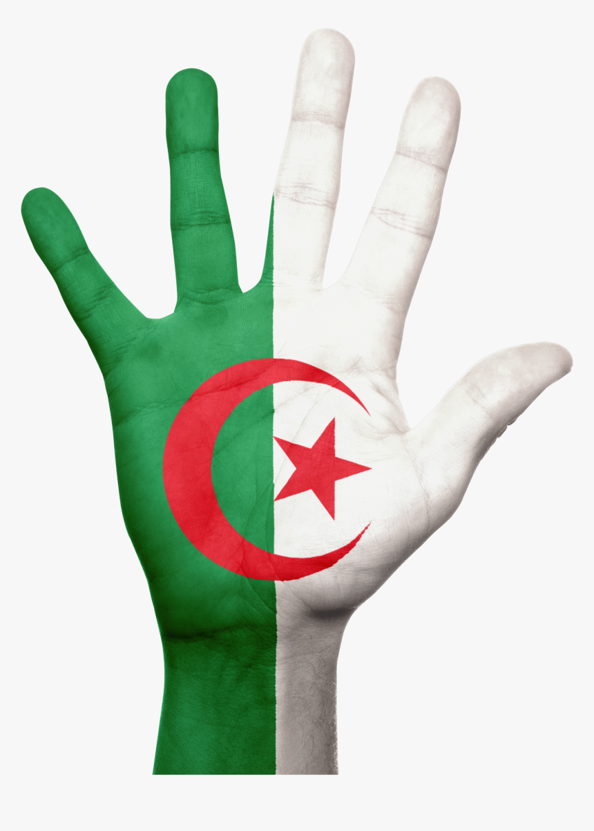 Algeria Hand Png, Transparent Png, Free Download