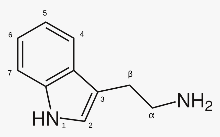 Structure, HD Png Download, Free Download