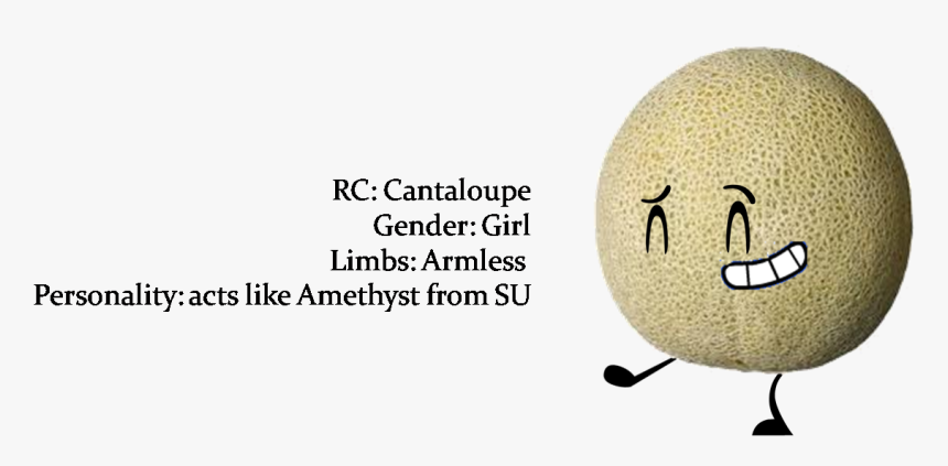 Cantaloupe , Png Download - Cantaloupe, Transparent Png, Free Download