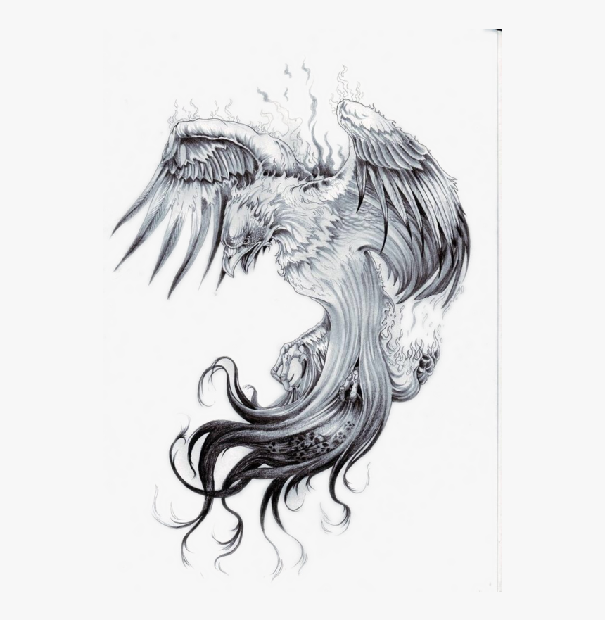 Transparent Chest Tattoo Png - Realistic Phoenix Tattoo Designs, Png Download, Free Download