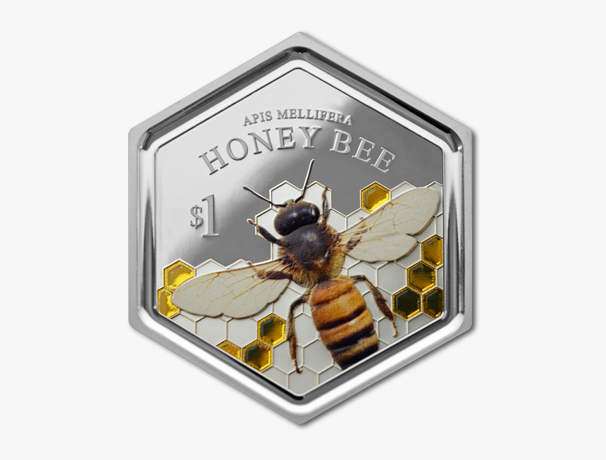 Honey Bee Coin, HD Png Download, Free Download