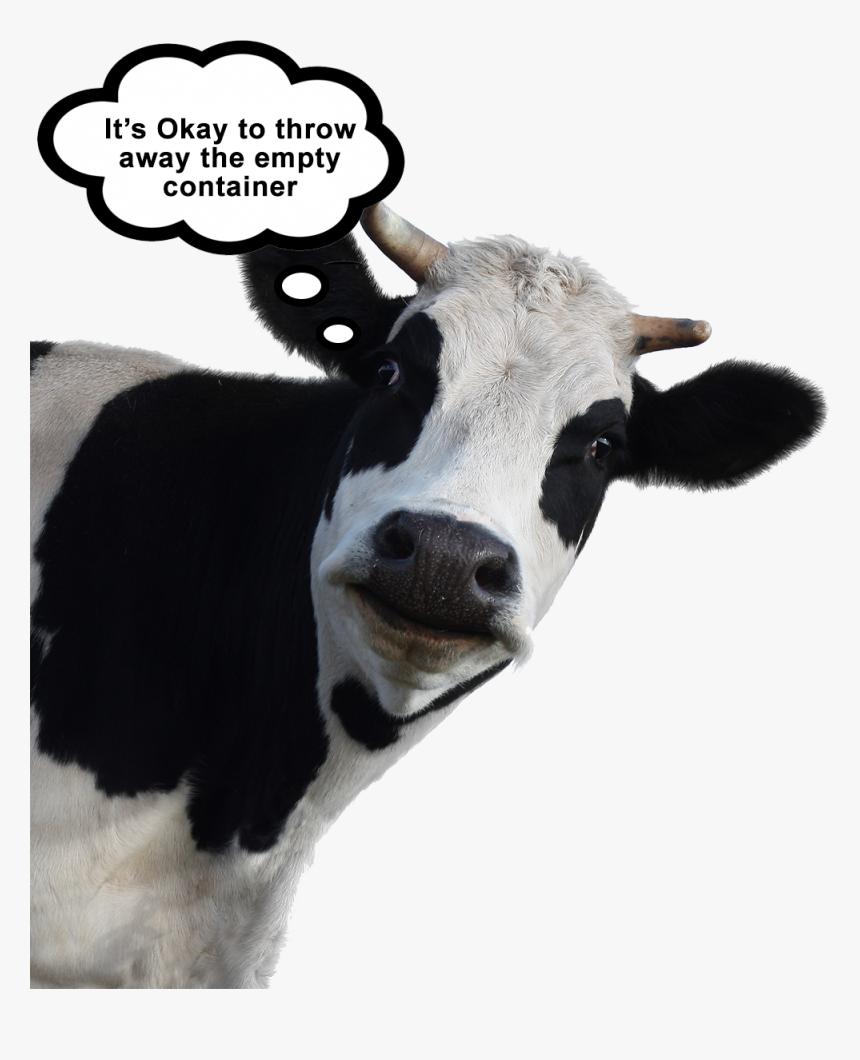 Cow Head Png, Transparent Png, Free Download