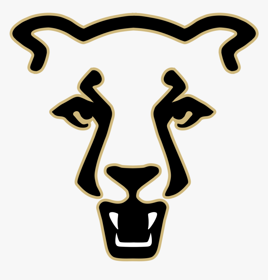 Mountain Lion Uccs, HD Png Download, Free Download