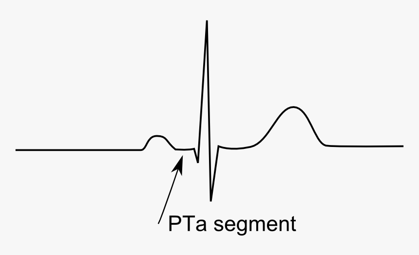 Pta Segment, HD Png Download, Free Download