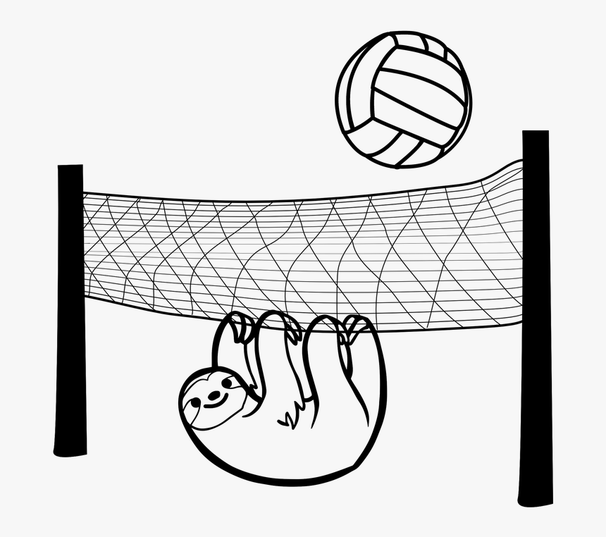 Sloth, Volleyball, Game, Sport, Animal, Net, Ball - Water Polo Ball Png, Transparent Png, Free Download