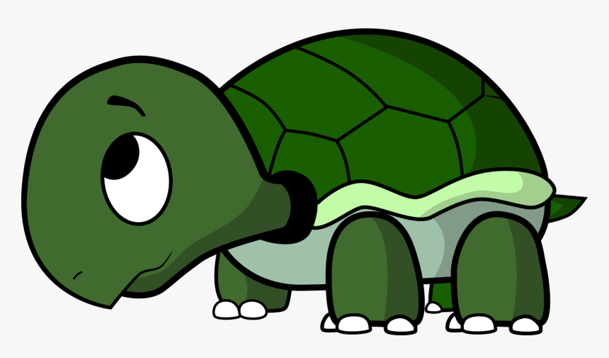 Clip Art Cartoon Pictures Of Turtles - Turtle Cartoon Png, Transparent Png, Free Download