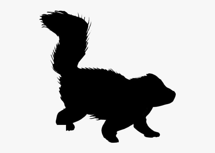 Transparent Background Skunk Png - Skunk Png Clipart, Png Download, Free Download