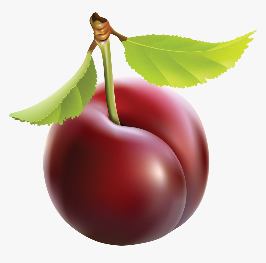 Drupe - Plum Png, Transparent Png, Free Download