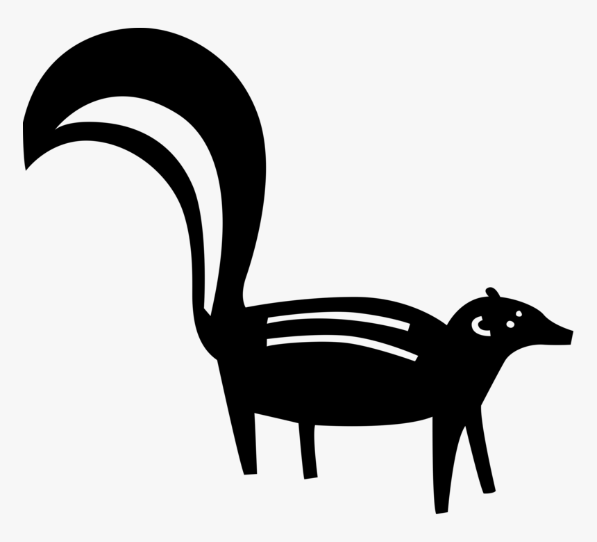 Vector Illustration Of Omnivorous Small Mammal Skunk, HD Png Download, Free Download