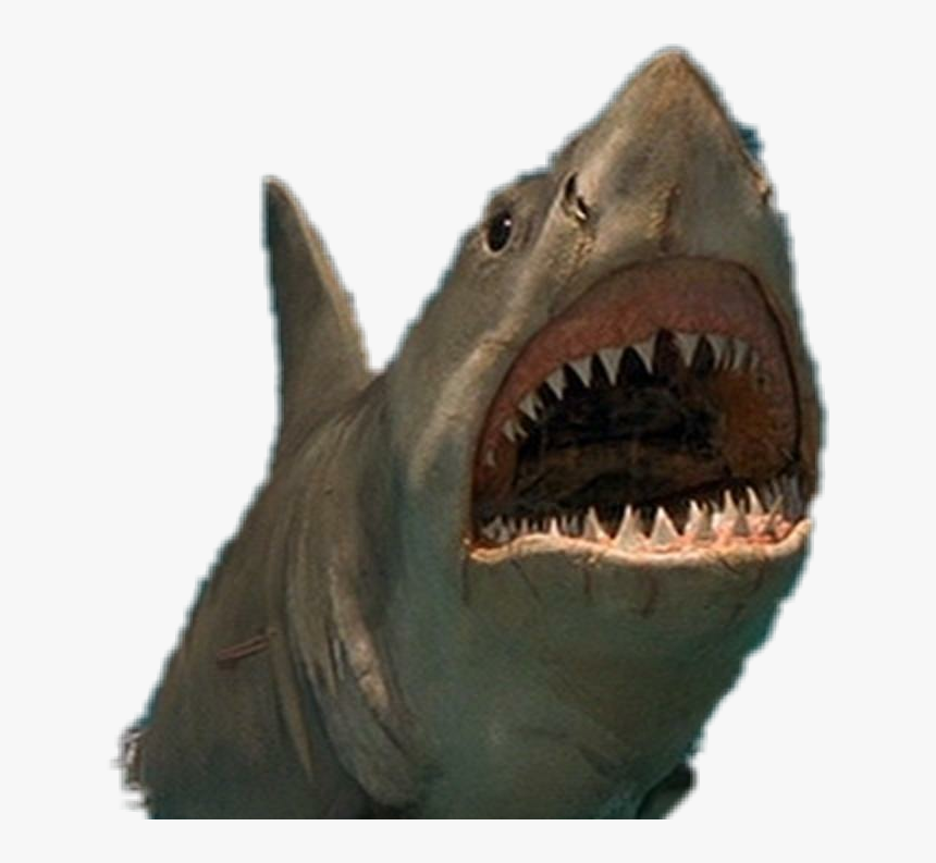 #jaws - Jaws Png Shark, Transparent Png - kindpng