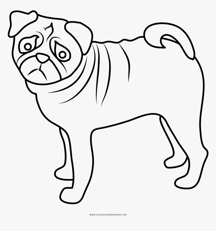 Pug Coloring Page - Desenho Para Pintar De Pug, HD Png Download, Free Download