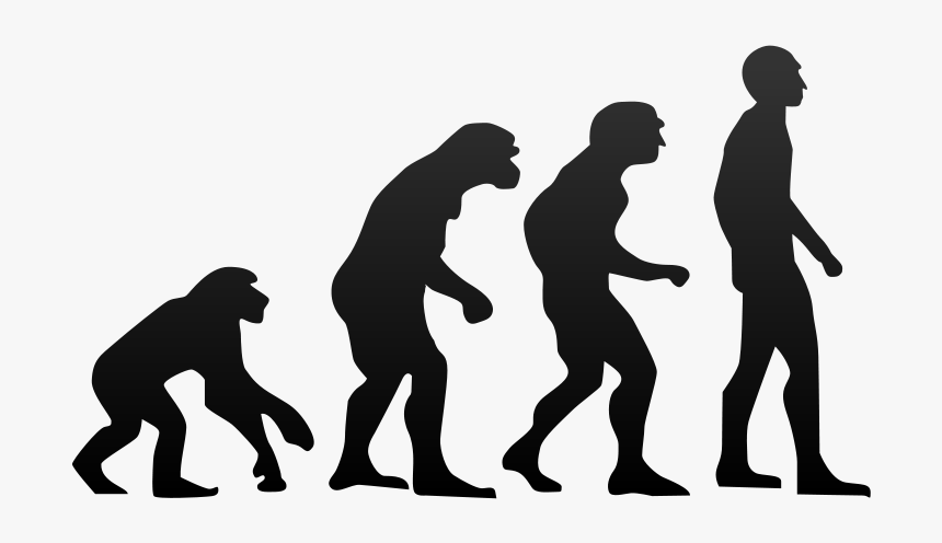 body evolution photoshop download