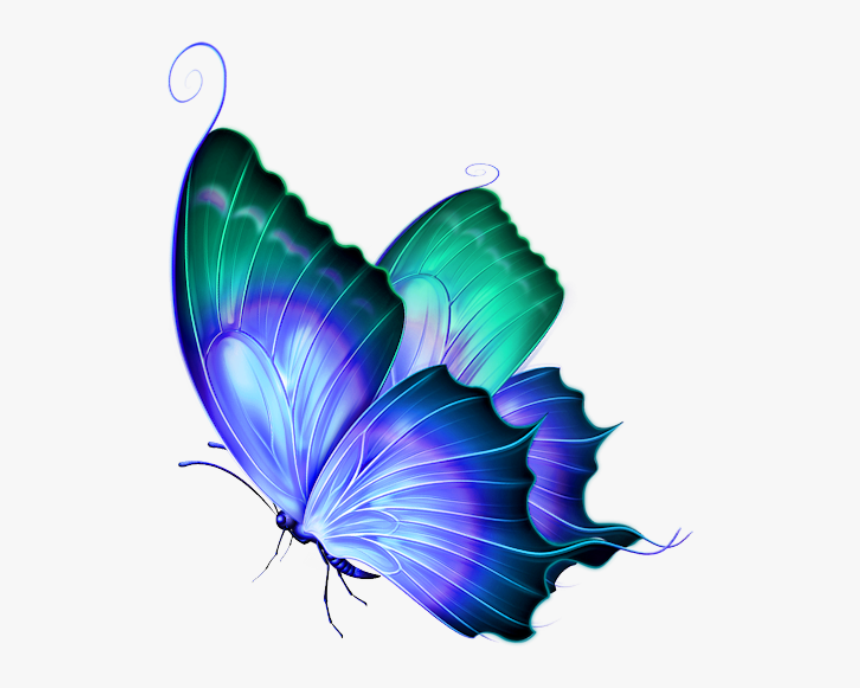 Transparent Background Butterfly Png Png Download Kindpng