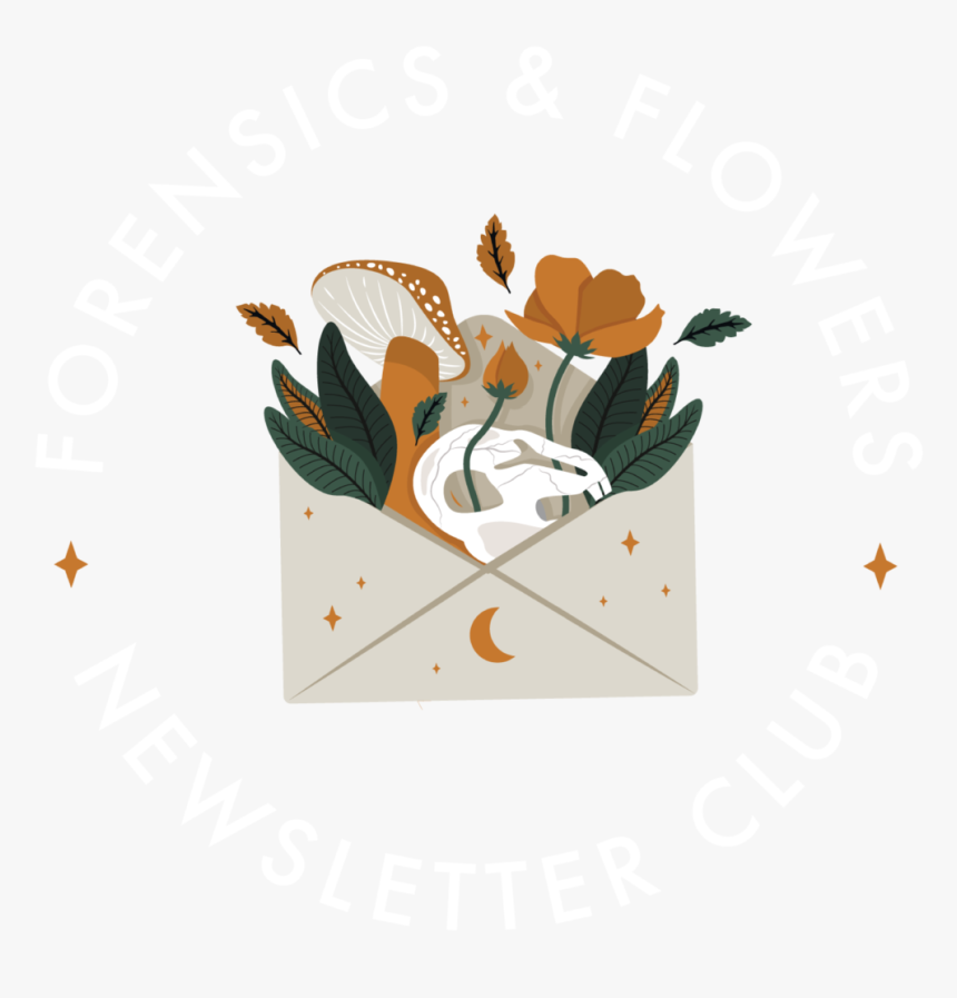 Newsletter Logo For Webs 01 - Illustration, HD Png Download, Free Download