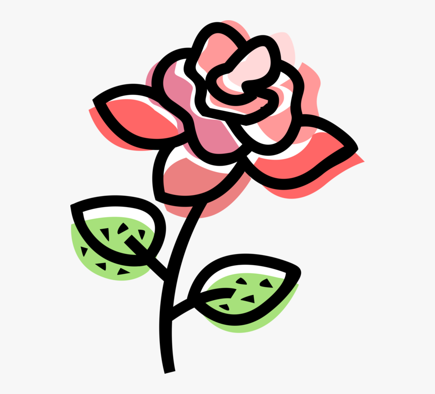 Vector Illustration Of Botanical Horticulture Rose, HD Png Download, Free Download