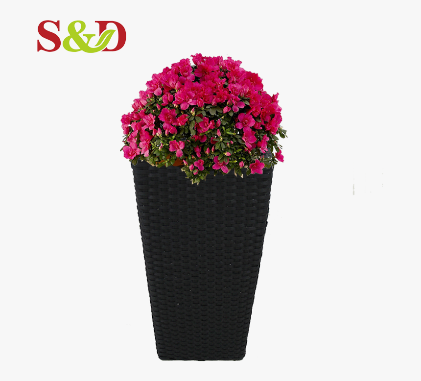 Flowerpot, HD Png Download, Free Download