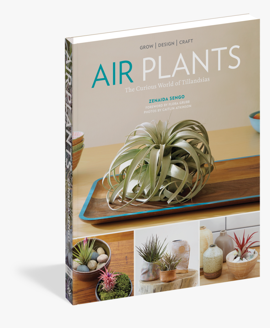 The Curious World Of Tillandsias - Air Plants Book, HD Png Download, Free Download