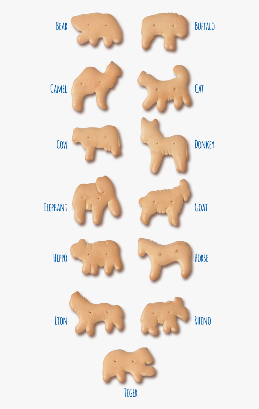 Animal Crackers Pictures - Animal Cracker Transparent Background, HD Png Download, Free Download