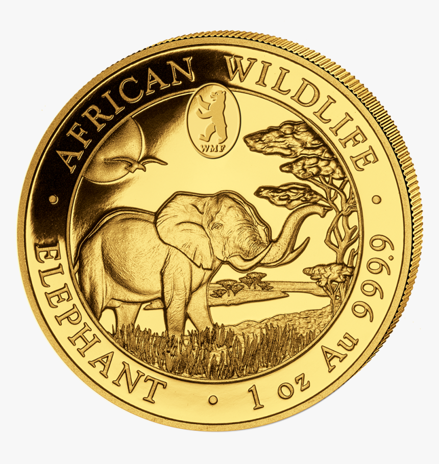 Ibsom999932 1 - Somalia Elefant Gold 2019, HD Png Download, Free Download