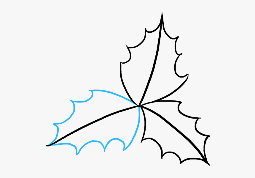 Holly Drawing Mistletoe - Easy Mistletoe Drawing, HD Png Download, Free Download