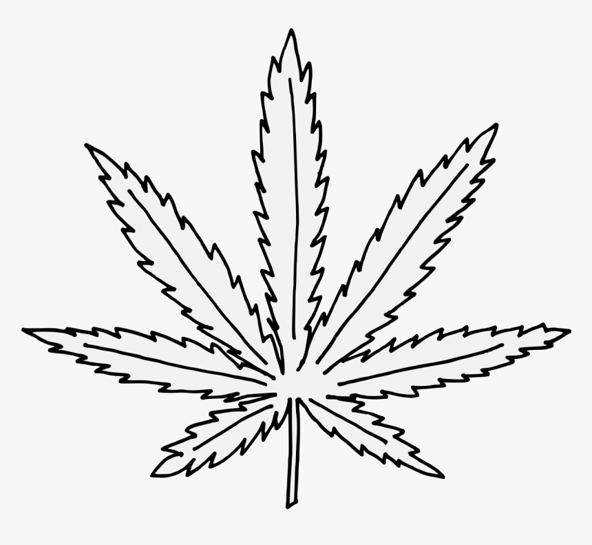 Marijuana Leaf Coloring Page Hd Png Download Kindpng