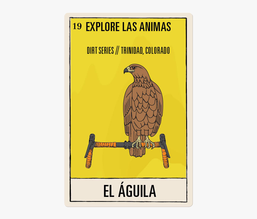 Aguila Png, Transparent Png, Free Download