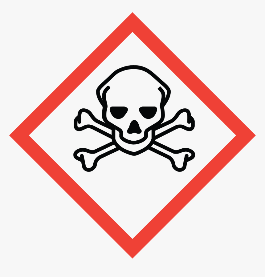 Skull And Crossbones - Skull And Crossbones Pictogram, HD Png Download, Free Download