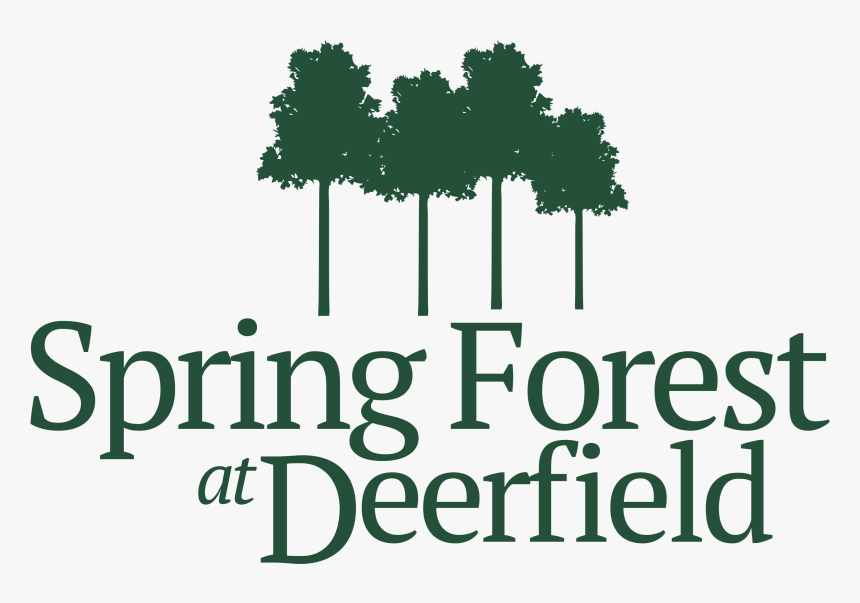 The Forest Logo Png - Tree, Transparent Png, Free Download