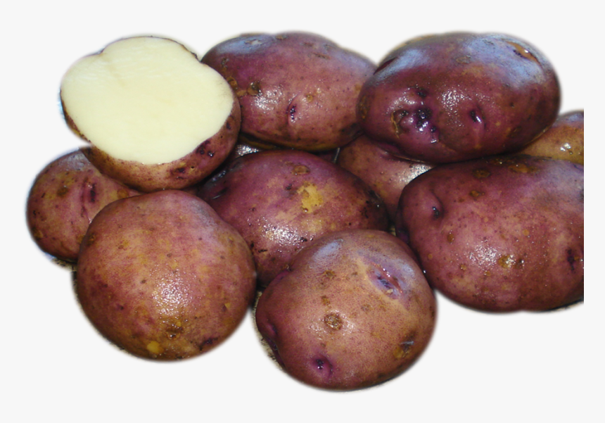 Russet Burbank Potato, HD Png Download, Free Download