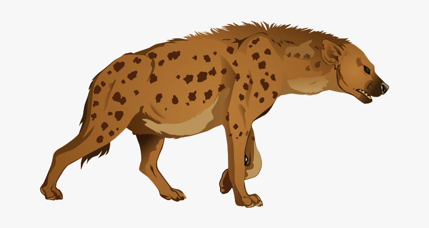 Hyena Png - Hyena Clipart, Transparent Png, Free Download