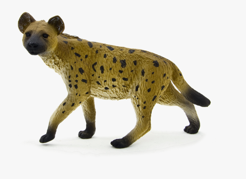 Hyena Png Free Download - Spotted Hyena, Transparent Png, Free Download