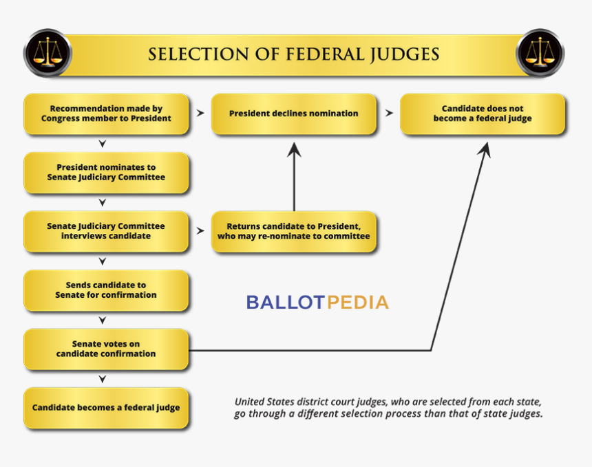 Selection Of Federal Judges Flowchart - Judges Selected, HD Png Download, Free Download