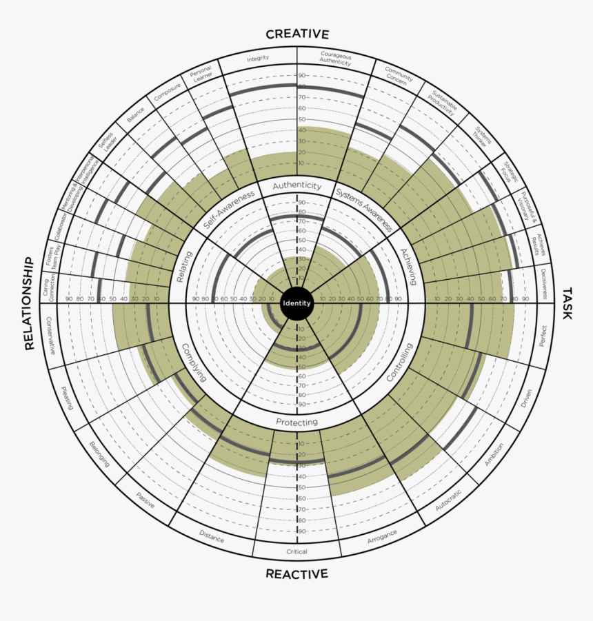 Tlcp 360 Graph Susan Johnson No Bars, HD Png Download, Free Download