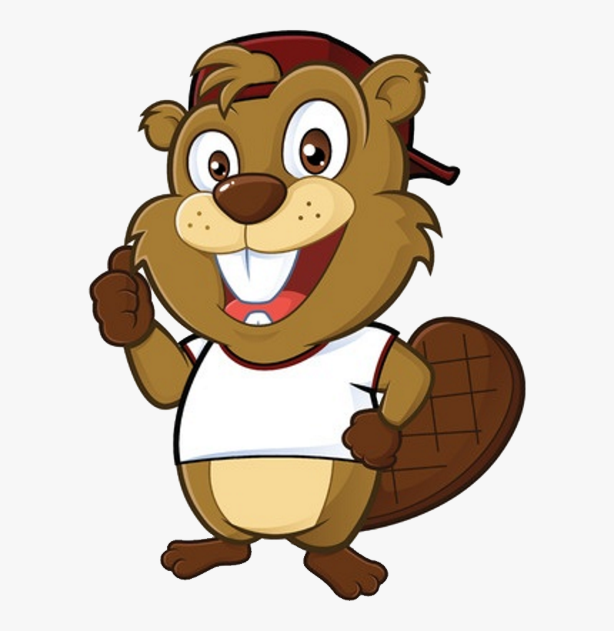 Beaver Png - Clipart Beaver, Transparent Png, Free Download