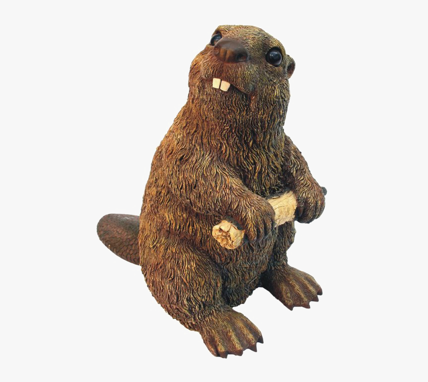 Beaver Png High-quality Image - Punxsutawney Phil, Transparent Png, Free Download