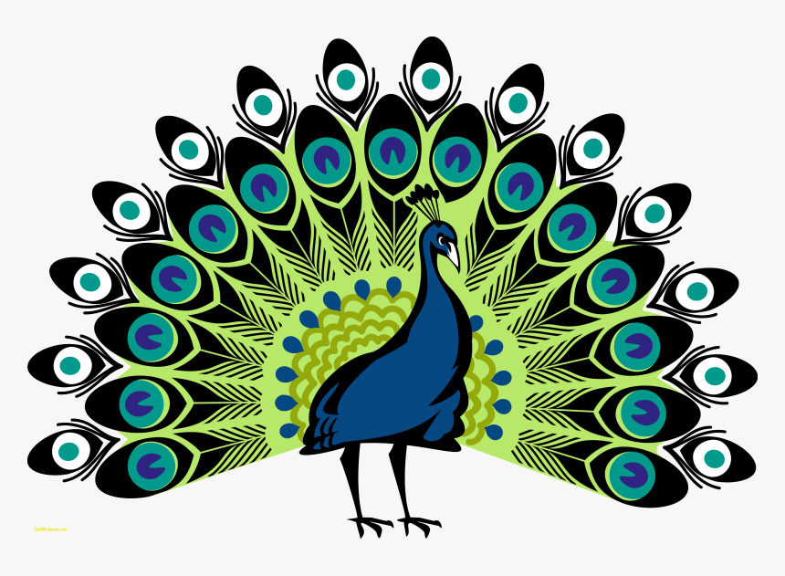 Peacock Png, Transparent Png, Free Download